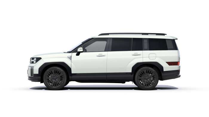 Hyundai Santa Fe Style Premium 1.6 T-GDI Plug-in Hybrid 13.8 kWh 212 kW 6A 4×4 na operativní leasing