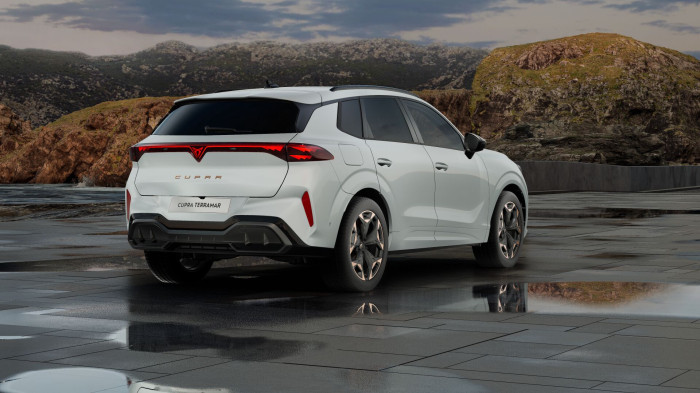 Cupra Terramar 2.0 TSI 204k DSG 4WD na operativní leasing