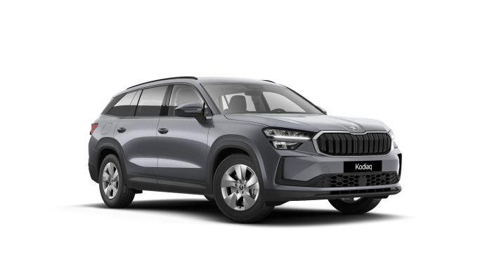 Škoda Kodiaq Exclusive Selection 2,0 TDI 142 kW 7-stup. automat. 4x4 na operativní leasing