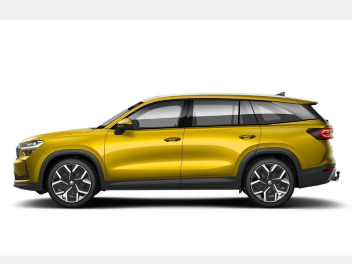 Škoda Kodiaq Exclusive Selection 2,0 TDI 110 kW 7DSG na operativní leasing