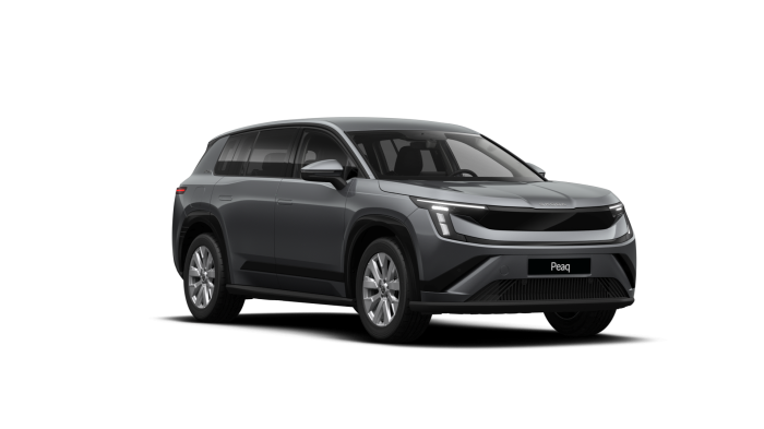 Škoda Peaq Selection 91 kWh 220 kW 1° převodovka 4x4 na operativní leasing