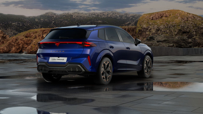 Cupra Terramar VZ 2.0 TSI 265k DSG 4WD na operativní leasing