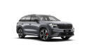Škoda Kodiaq RS 2.0 TSI 195 kW 7-stup. automat. 4x4 na operativní leasing