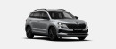 Škoda Karoq Sportline 7DSG 1,5TSI / 110kW na operativní leasing