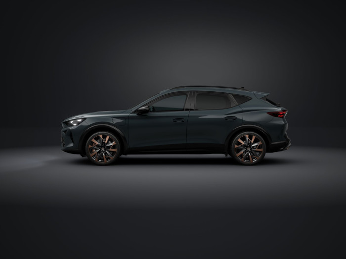 Cupra Formentor VZ 2.0 TSI 333k DSG 4WD na operativní leasing