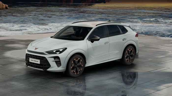 CUPRA Terramar 2.0 Tsi 4wd 150 kW Dsg automat 4x4 na operativní leasing
