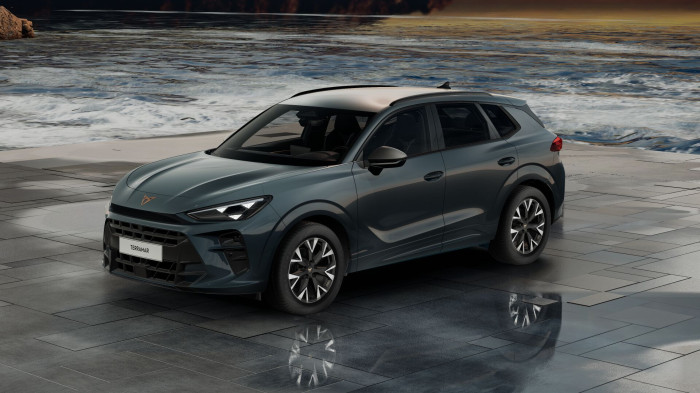 Cupra Terramar 2.0 TSI 204k DSG 4WD na operativní leasing