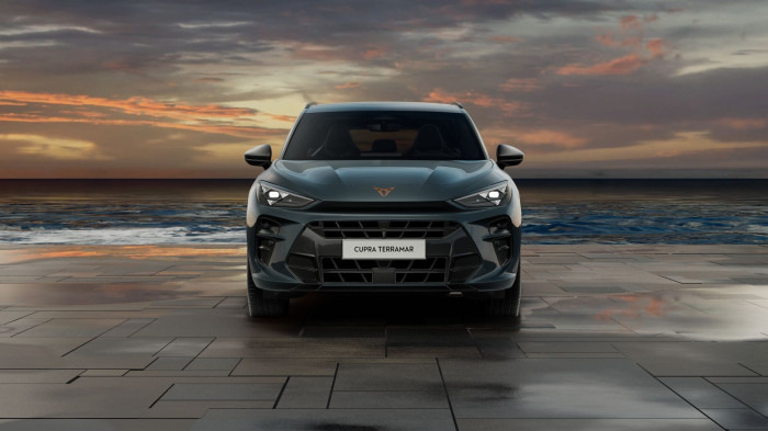 Cupra Terramar 2.0 TSI 204k DSG 4WD na operativní leasing