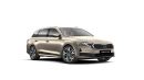 Škoda Octavia Combi Top Selection 2,0 TDI 110 kW 7-stup. automat. na operativní leasing
