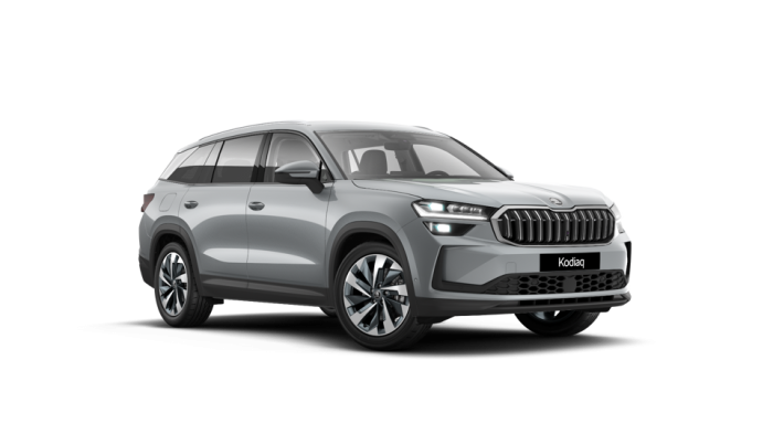 Škoda KODIAQ SELECTION 2,0 TDI 142 kW DSG 4x4 na operativní leasing