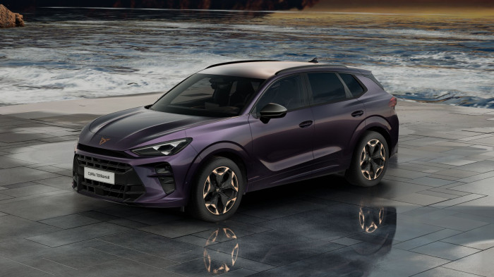 Cupra Terramar 2.0 TSI 204k DSG 4WD na operativní leasing