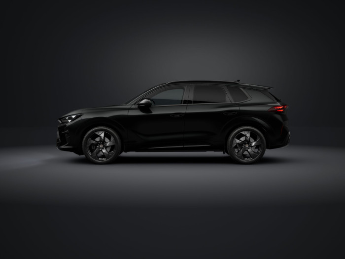 Cupra Terramar Tribe 2.0 TSI 204k DSG 4WD na operativní leasing
