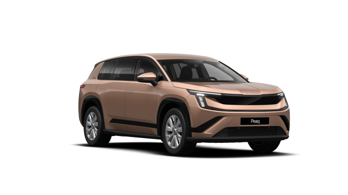 Škoda Peaq Exclusive Selection 91 kWh 210 kW 1° převodovka na operativní leasing