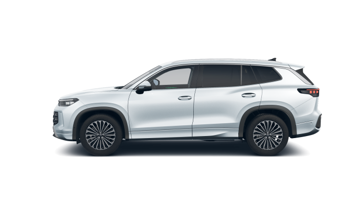 Volkswagen Tayron Elegance 2,0 TDI 142 kW 4MOT na operativní leasing