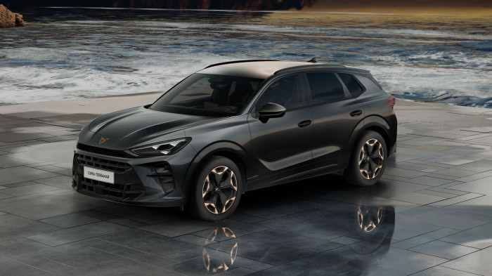 Cupra Terramar 2.0 TSI 204k DSG 4WD na operativní leasing