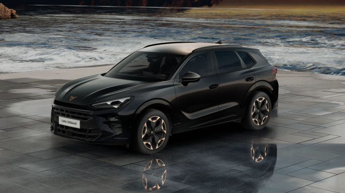 Cupra Terramar Tribe 2.0 TSI 204k DSG 4WD na operativní leasing