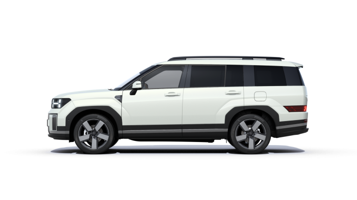 Hyundai Santa Fe Style Premium 1.6 T-GDI Plug-in Hybrid 13.8 kWh 212 kW 6A 4×4 na operativní leasing