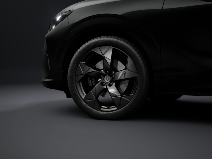 Cupra Terramar Tribe 2.0 TSI 204k DSG 4WD na operativní leasing