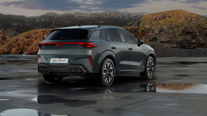 Cupra Terramar 2.0 TSI 204k DSG 4WD na operativní leasing