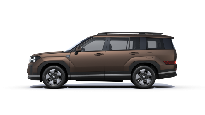 Hyundai Santa Fe Hybrid Calligraphy 1.6 T-GDI Hybrid 176kW 6A 4×4 na operativní leasing