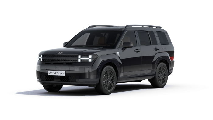 Hyundai Santa Fe Style Premium 1.6 T-GDI Plug-in Hybrid 13.8 kWh 212 kW 6A 4×4 na operativní leasing