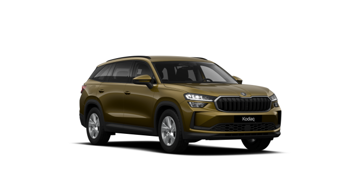 Škoda Kodiaq Exclusive Selection 1,5 TSI iV 150 kW 6-stup. automat. na operativní leasing