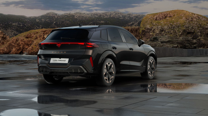 Cupra Terramar 2.0 TSI 204k DSG 4WD na operativní leasing