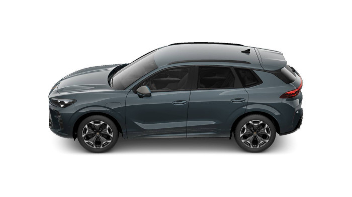 Cupra Terramar VZ 2.0 TSI 195kW DSG 4WD na operativní leasing
