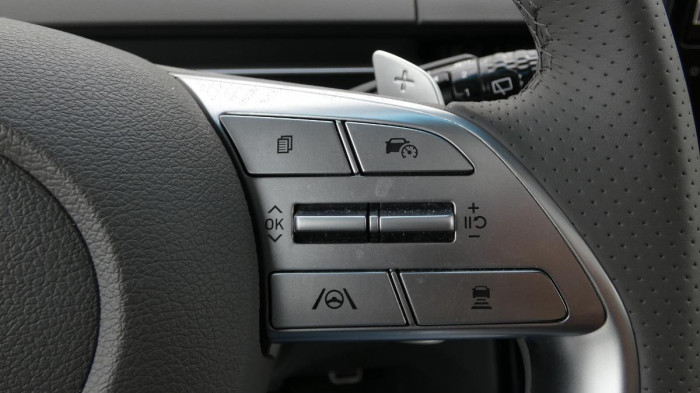 Hyundai Staria 2.2 CRDi Luxury 4x4 Auto na operativní leasing