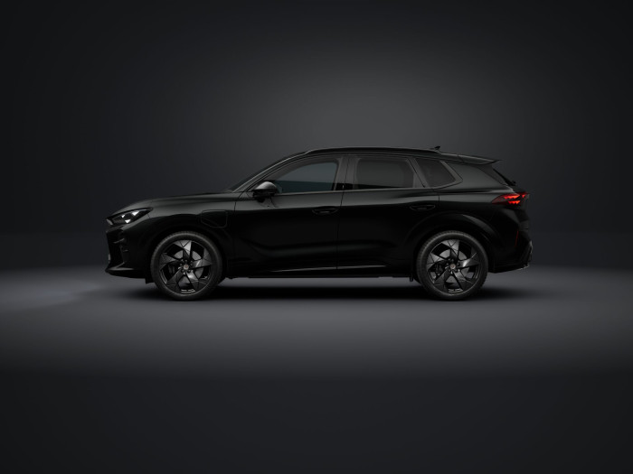 Cupra Terramar VZ Tribe 2.0 TSI 265k DSG 4WD na operativní leasing