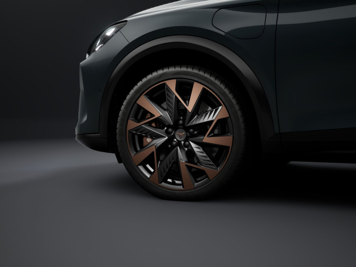 Cupra Formentor VZ 2.0 TSI 333k DSG 4WD na operativní leasing
