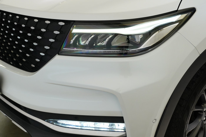 Dongfeng Fengon 2.0 T-GDI 162 kW AWD na operativní leasing