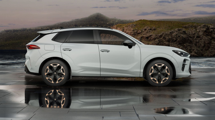 Cupra Terramar 2.0 TSI 204k DSG 4WD na operativní leasing