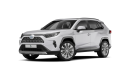 Toyota RAV4 Hybrid 2,5 Hybrid - Benzin - Automat - 4x2 na operativní leasing