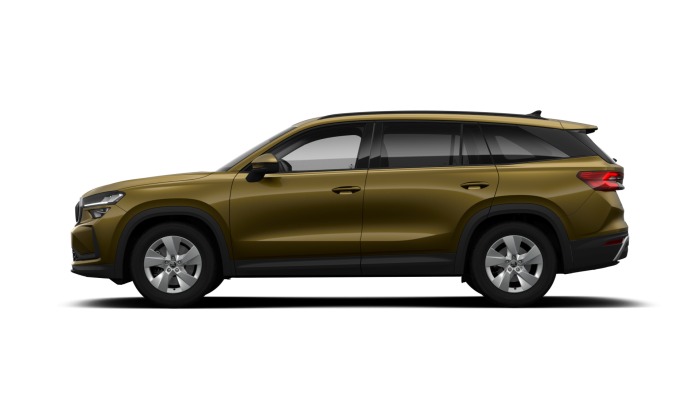 Škoda Kodiaq Selection 2,0 TSI 150 kW 7-stup. automat. 4x4 na operativní leasing