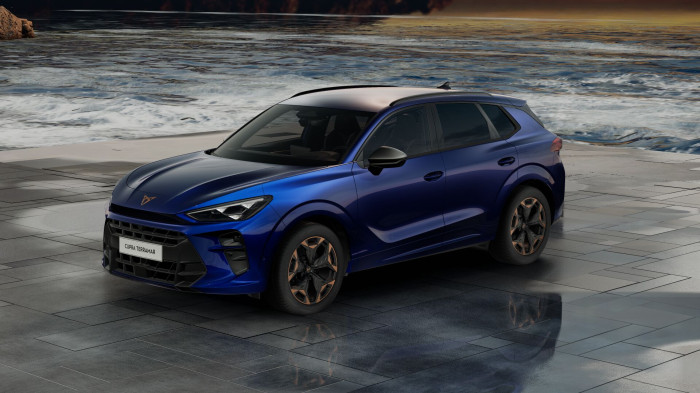 Cupra Terramar VZ 2.0 TSI 265k DSG 4WD na operativní leasing